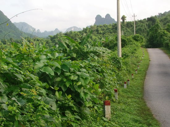 Es geht weiter. Bei jedem Halt kann man eine wunderbare Stille genießen, die nur manchmal durch Vogelgezwitscher unterbrochen wird.