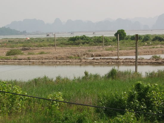 Und irgendwann waren sie dann doch zu sehen, die Felsen der Ha Long Bay.