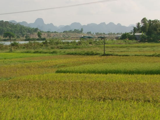 Ich bin mal ein wenig rumgefahren. Hier befinde ich mich auf einer Halbinsel auf der gegenüberliegenden Seite von Ha Long.