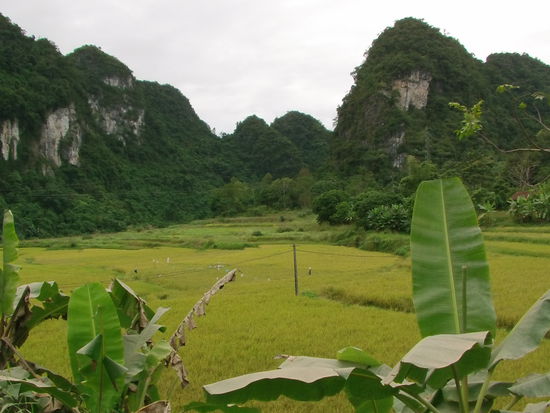 Die Natur ist atemberaubend.