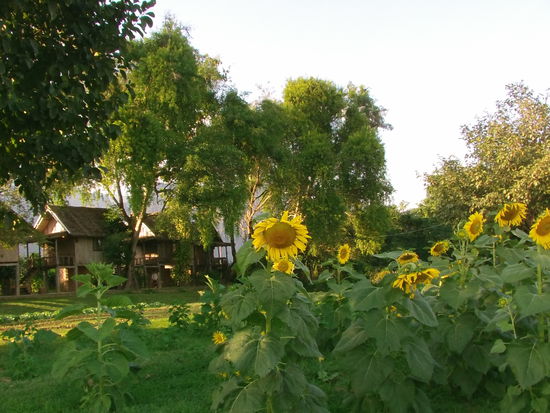 Es ist Weihnachten und Vollmond. Ich genehmige mir ein Weinchen.