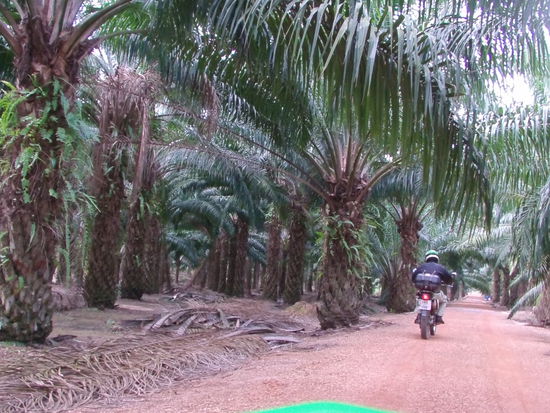 Ich war mit dem Motorrad in Kambodscha.