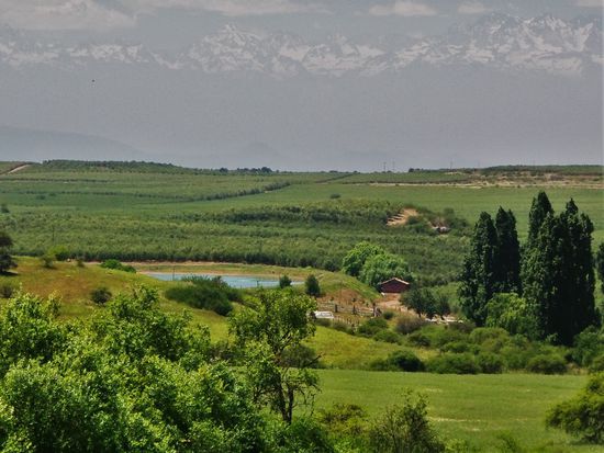 Im Hintergrund die schneebedeckten Berge