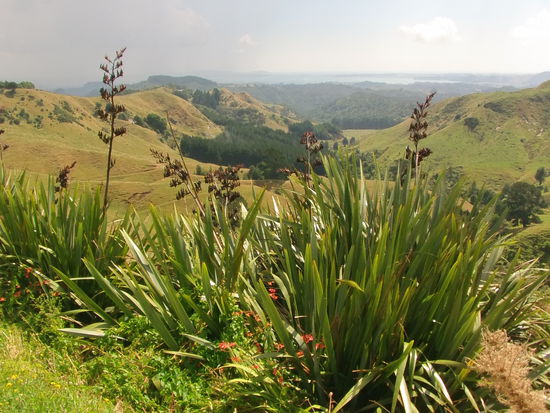 Am nächstem Tag machen wir einen Ausflug zum Meer.