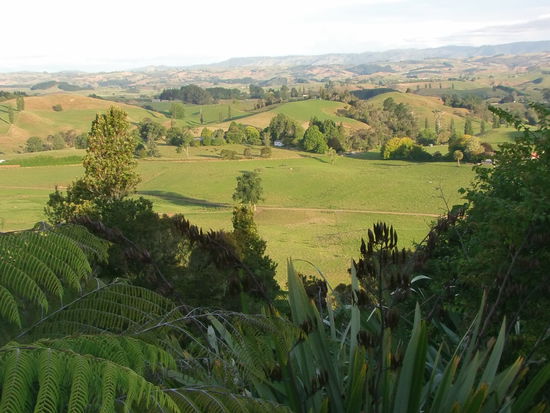 Am Abend sitzen wir auf der Terrasse, trinken Wein, genießen den Blick und die Ruhe.