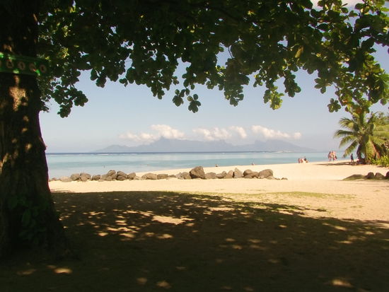 Die  nächsten Tage verbringe ich morgens meistens am  Strand. Die Lagune ist durch das Außenriff von der Brandung geschützt.