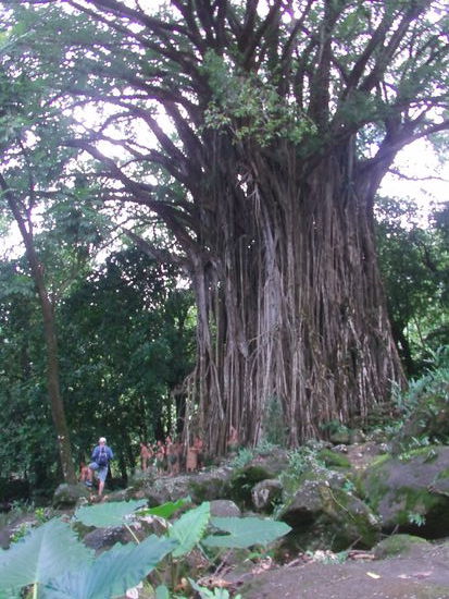 Wir werden an eine alte Kultstätte gebracht, an der uns die einheimischen Insulaner ihre traditionellen Tänze vorführen.