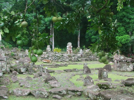 Die Anlage liegt mitten im Dschungel.