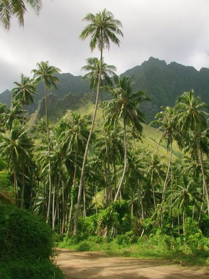 Erschöpft erreiche ich das Tal und kühle mich im Fluss ab.