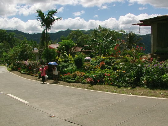 Blumem, Blumen, bunt, bunt - schön