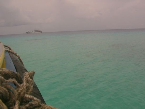 yRangiroa ist das zweit größte Atoll der Welt. Die Aranui ankert im Inneren und wir werden mit der Barge an den Strand gebracht.