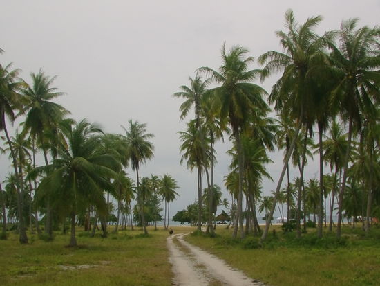 Obwohl ich mich schwach fühle, mache ich einen kleinen Spaziergang.