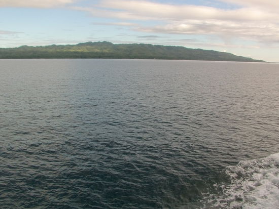 Bohol taucht auf. Für kurze Zeit werden wir von einer Gruppe  Delphinen begleitet.