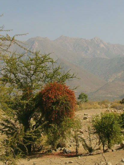 Oder andere Schönheiten.