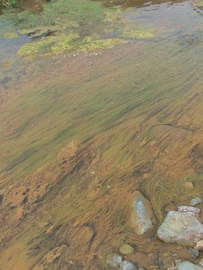 Das heißt, warmes Wasser kommt aus der Erde. Es schmeckt salzig.