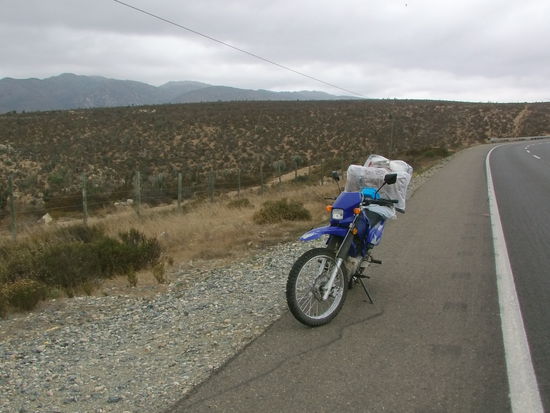 Kakteen soweit das Auge reicht.