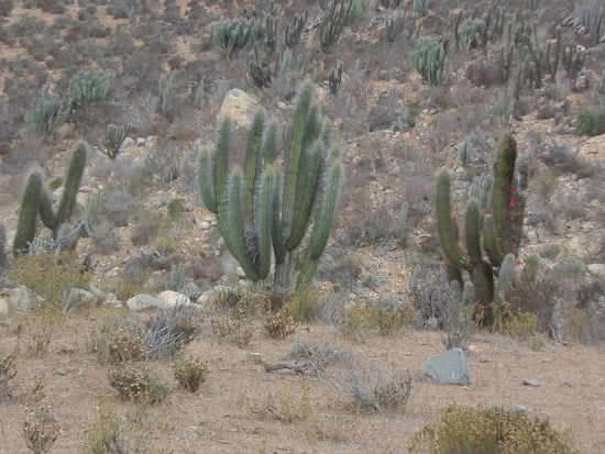 Trotzdem ist es kühl.