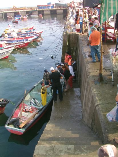 Der Fang wird direkt vom Kahn verkauft.