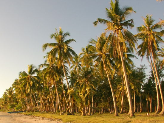 und abends wieder am Strand