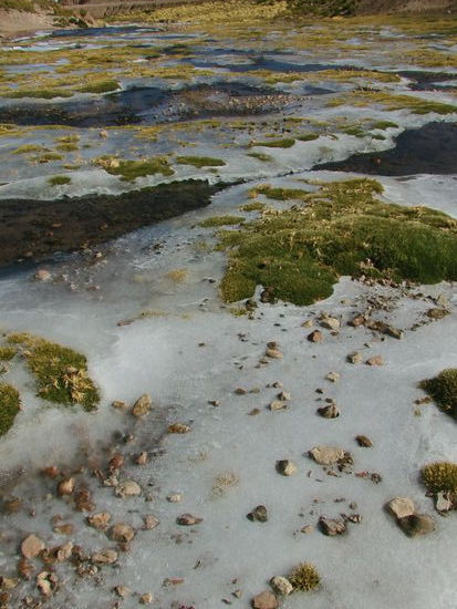 Es ist bitter kalt. Auf dem Bach ist Eis.