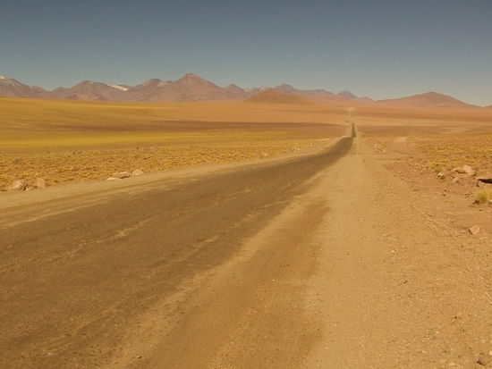 Die Farben sind beeindruckend. grüne, gelbe und braune Pastelltöne.