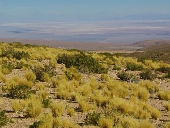 Blick ins Tal nach San Pedro