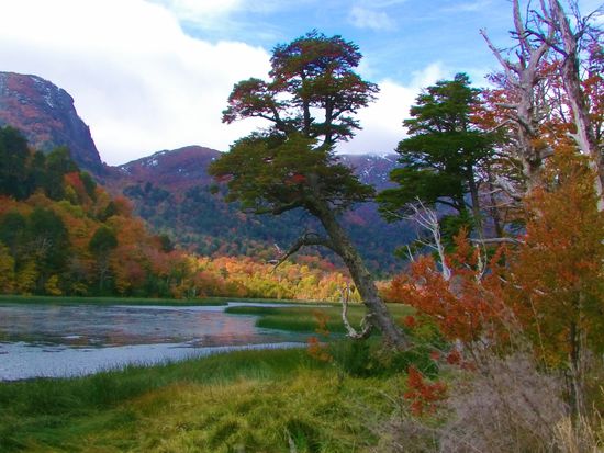 und den satten Farben des Indian Summers.