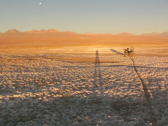 Thank you and Good by.