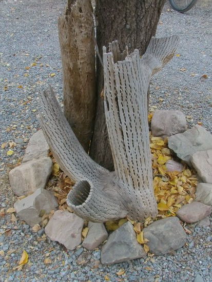 Übrigens so sehen abgestorbene Kakteen aus. Die haben auch einen richtigen hölzernen Stamm.