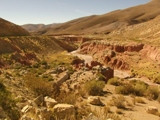 Die Fahrt an die bolivianische Grenze dauerte drei Stunden. Es ging immer bergauf bis auf 3500 m.