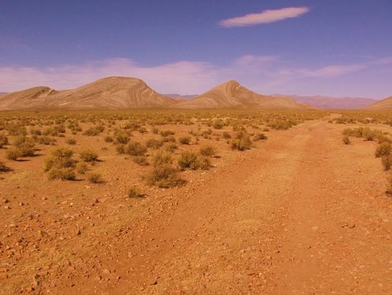 Da fahr ich doch mal hin.