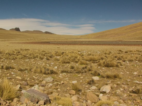 An einer Lagune entdecke ich Flamingos.