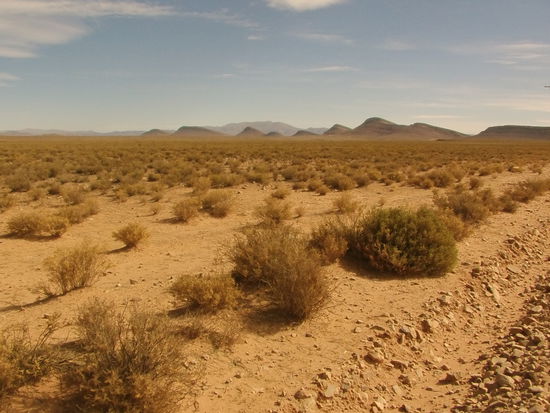 Es war ein schöner Tag. Bolivien ist wieder geöffnet. Morgen werde ich rüber fahren.