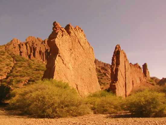 Ich frag mich, wie so etwas entsteht.