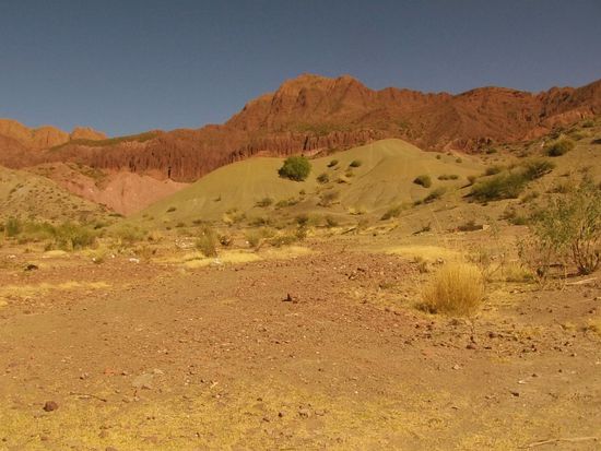 Ich drehe noch eine kleine Runde und fahre zurück.