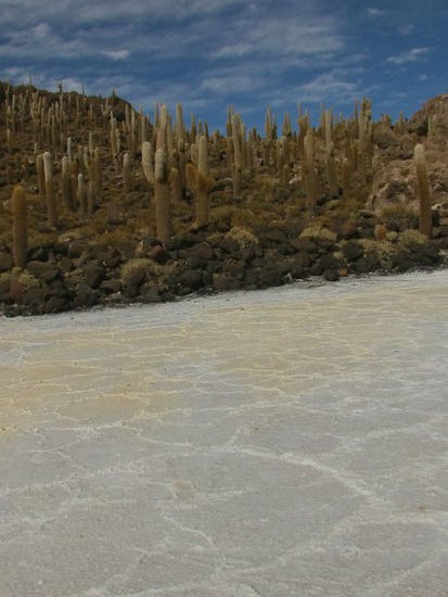 Bekannt ist die Insel für ihre Kakteen. Manche sollen 1200 Jahre alt sein.
Eintritt 30 Bol.