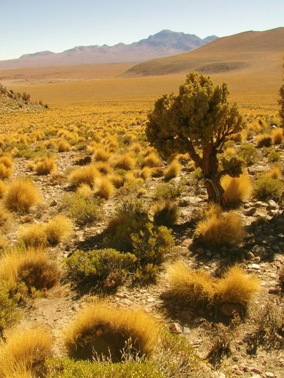 Die Natur zeigt sich von ihrer farbenfrohen Seite.