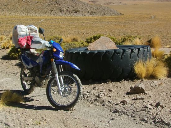 Die letzten Überbleibsel menschlicher Eingriffe in die Natur.