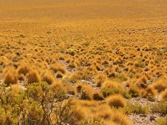 Die Natur zeigt sich in ihren schönsten Farben.