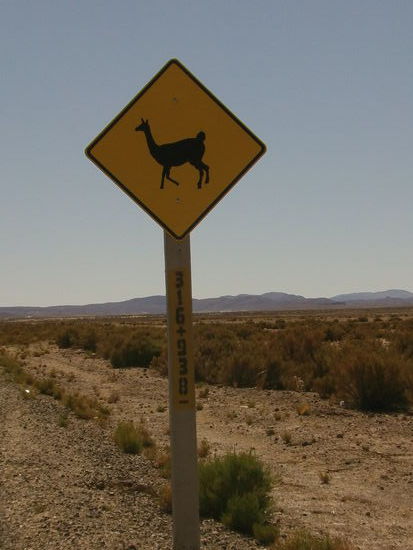 Einige ungewohnte Schilder stehen am Straßenrand.