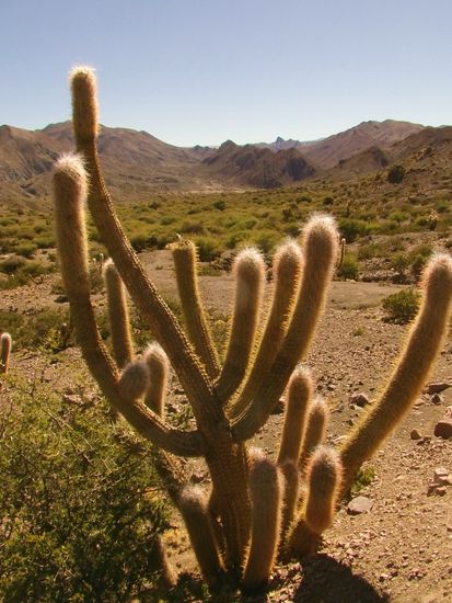 Die Natur zeigt sich wieder von ihrer schönen Seite.