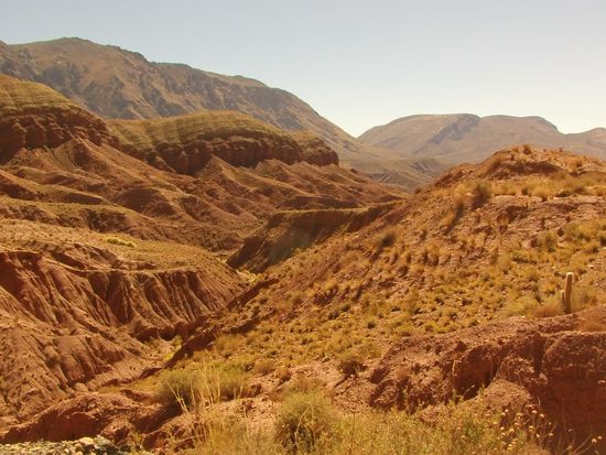 Und jetzt das Letzte