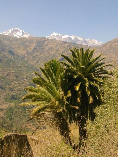 Im Tal ist es richtig warm, oben auf den Bergen liegt Schnee.