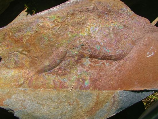 Ist das Gold, was dort glänzt? Sicher nicht.