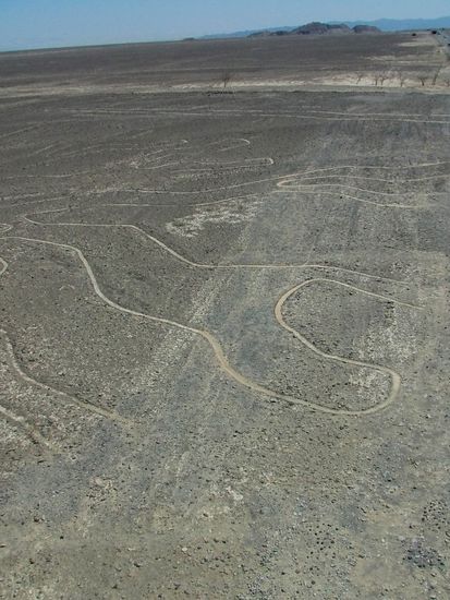 Ich glaube es heißt der Baum.