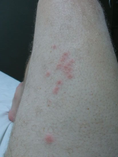 So sieht das dann aus