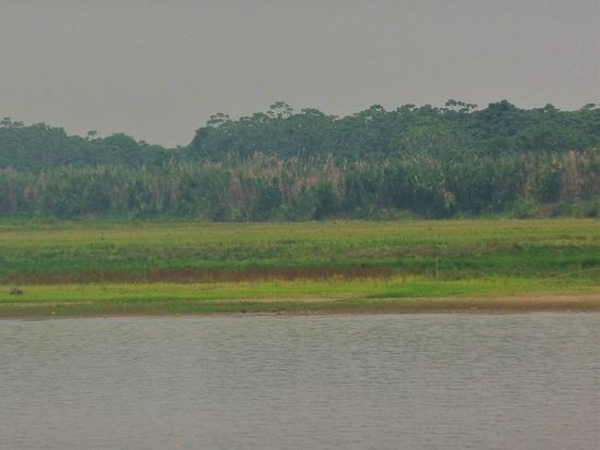 manchmal weit entfernt.