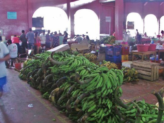 Im Markt gehe ich immer Essen.