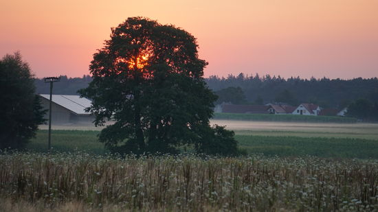 Ich liebe diese kühlen, ruhigen Morgenstunden.