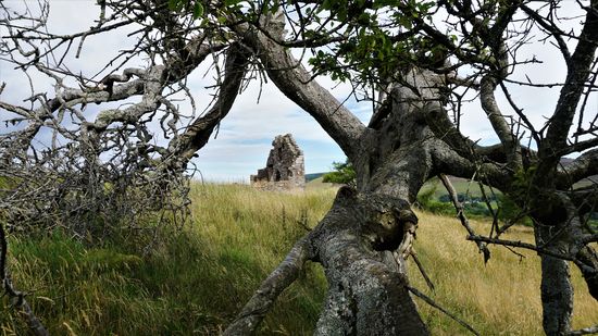 Es geht langsam zurück mit einigen Stopps zwischen drin.